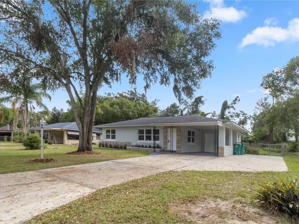 294 W Dicie Ave, Eustis, FL 32726