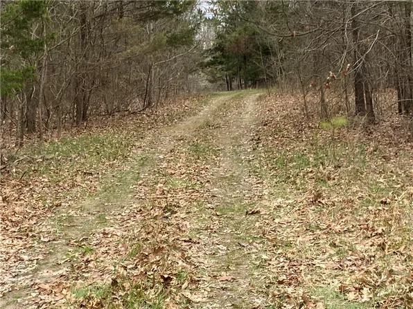 County Road 147, Eureka Springs, AR 72632