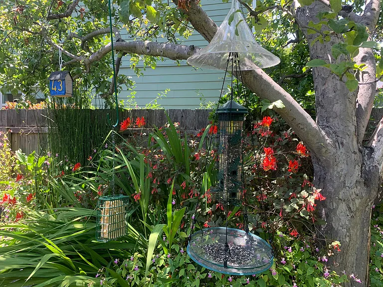 1155 Francisco St #A — Photo 29