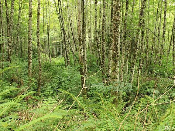 4th image of 99999 Charley Creek Rd