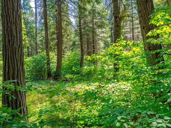 Starkes Grade Rd, Pollock Pines, CA 95726