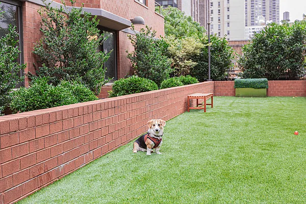 Rented by Douglas Elliman | media 31