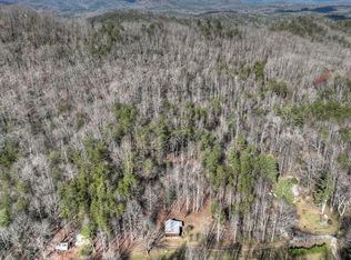 173 Cottonwood Ln, Blue Ridge, GA 30513