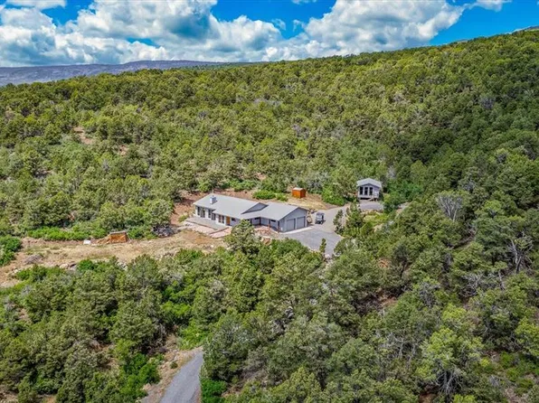 19701 San Juan Vista Road, Cedaredge, CO 81413