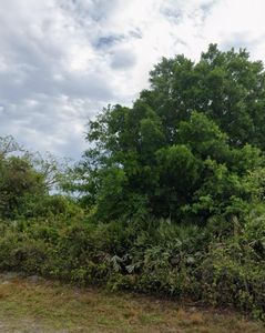 3268 NW 19th Avenue, Okeechobee, FL, 34972