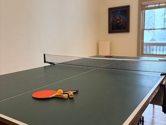 Ping pong table