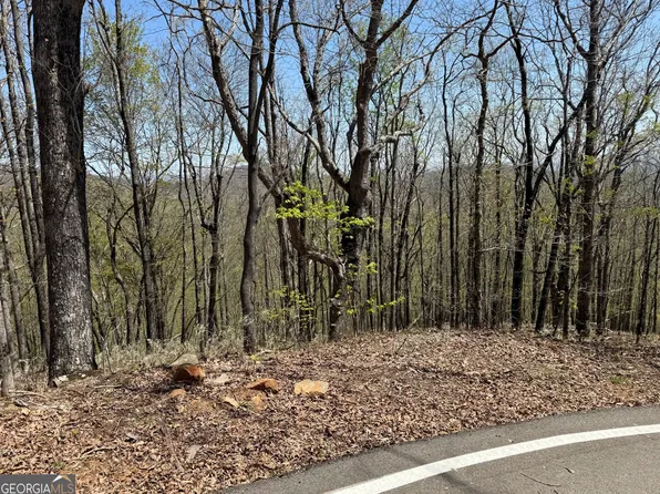 7248 Ridgeview Dr, Jasper, GA 30143