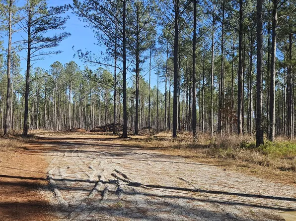 1 Smith Chapel Road, Lincolnton, GA 30817