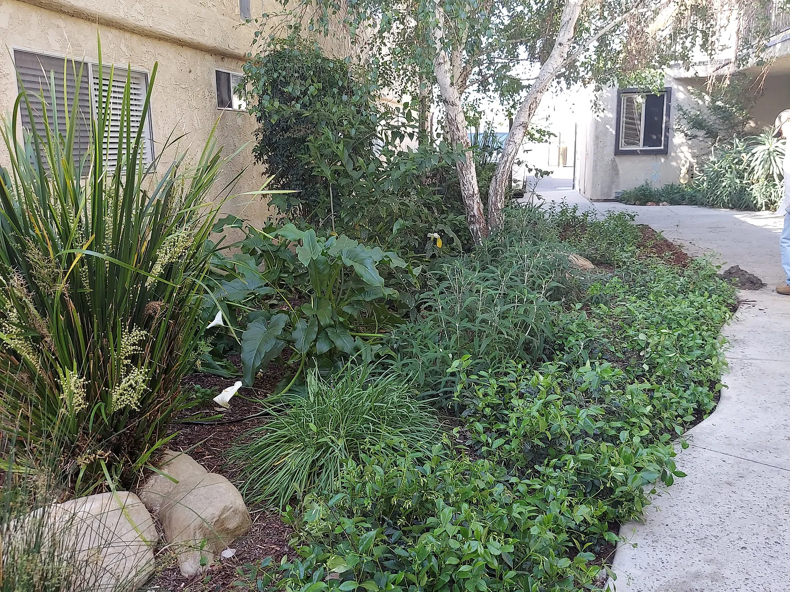 2 bed, 912 sqft, $2,230 — Photo 3