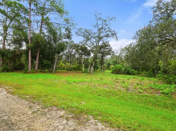 Creekstone St Lot 2, Webster, FL 33597
