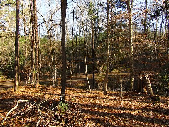 2nd image of County Road 4921 #0