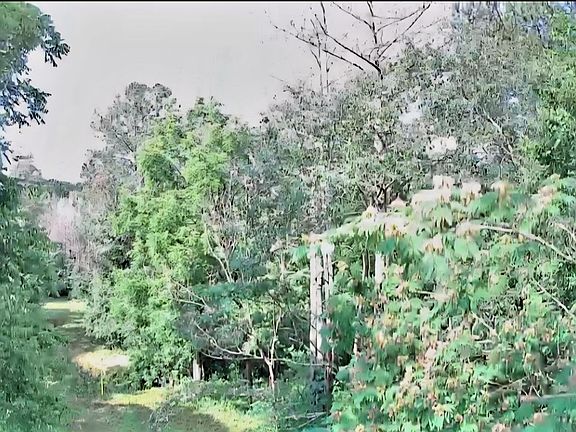 4th image of 0 N Highway 341 #246