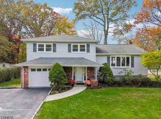 45 Polhemus Ter, Whippany, NJ 07981