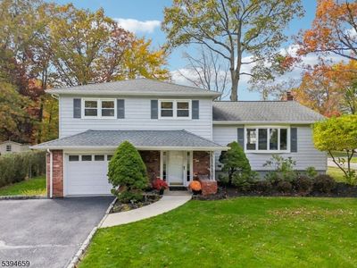 45 Polhemus Ter, Whippany, NJ, 07981