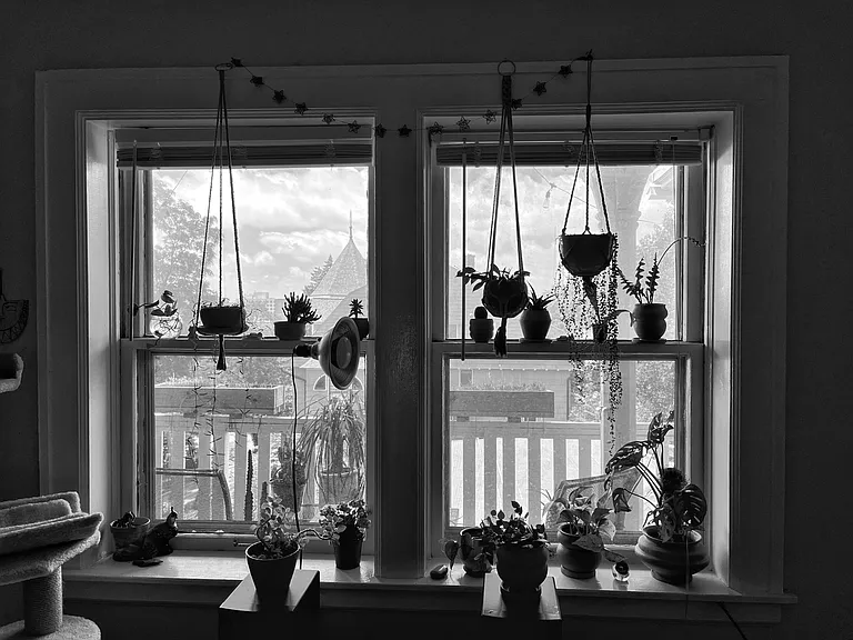 55 Lafayette Ave NE #5 — Photo 11