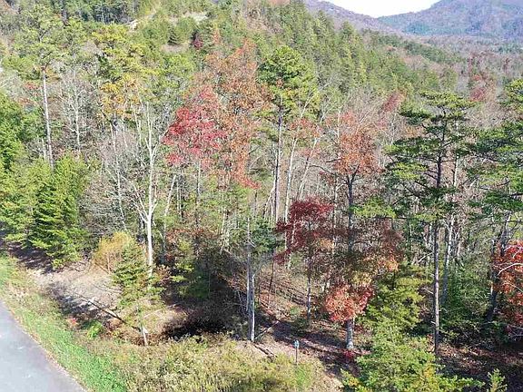 4th image of 33 Mountain Ash Way Lot 33