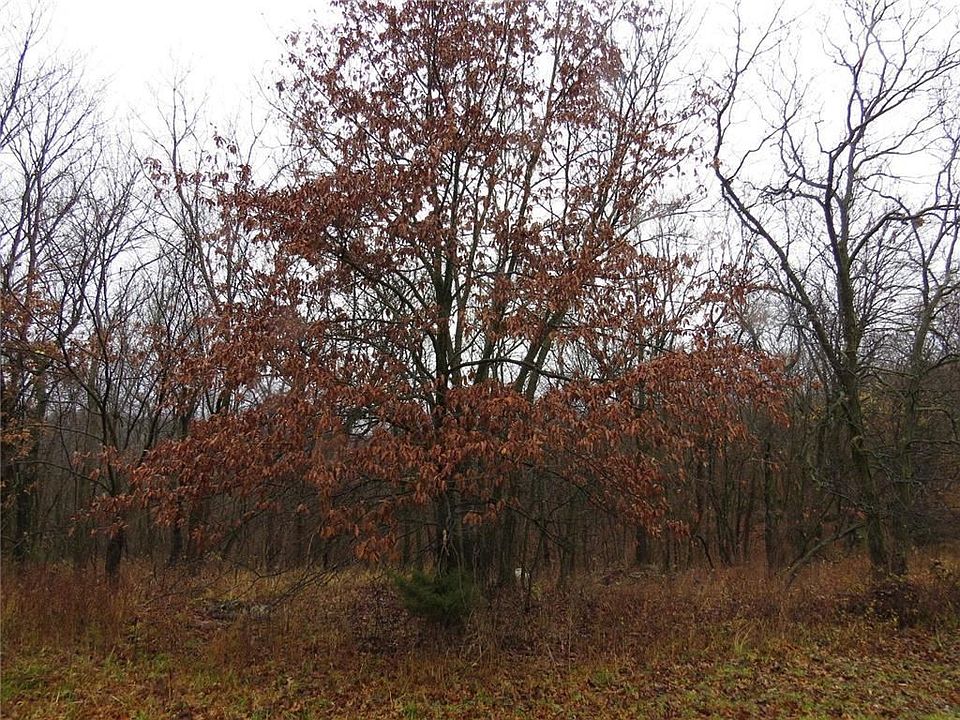 2nd image of 604 N Slim Beeman Rd