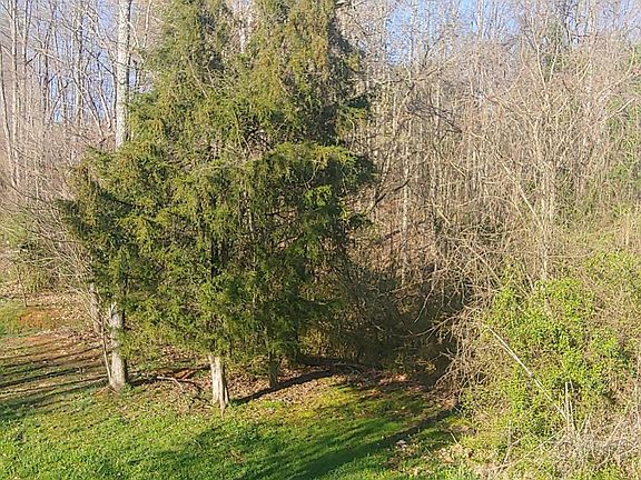 4th image of Dunlap Rd