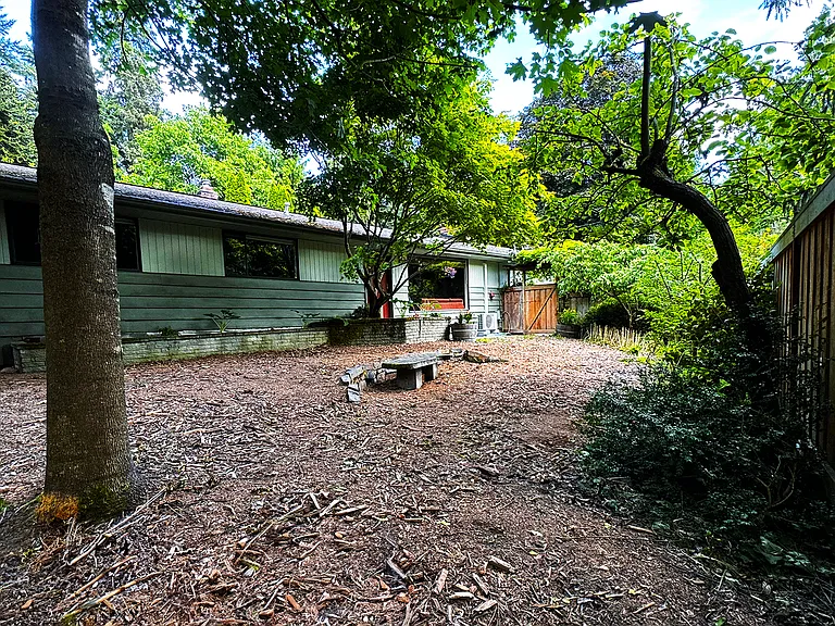 Front yard with apple and asian pear trees.