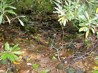 Bee Branch Dr, Franklin, NC 28734