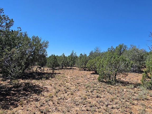 3rd image of 884 Westwood Ranches