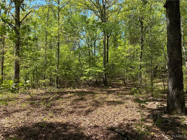 0 Vic Green Rd, Northport, AL 35475