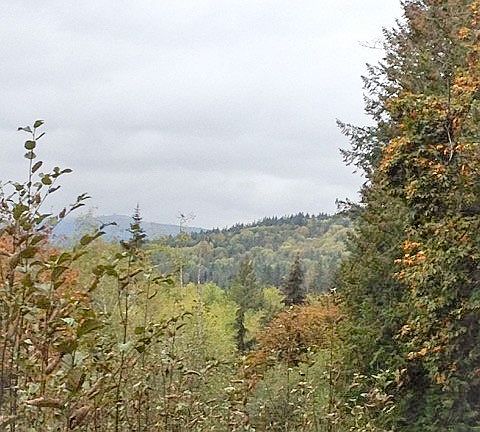 3rd image of 140 Lost Creek Ln
