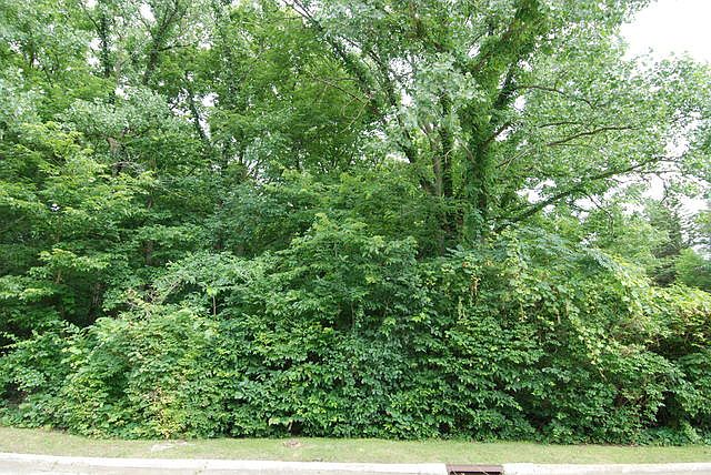 2nd image of 21XX Stoneridge Dr