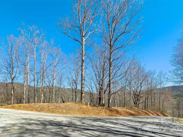 158 Hunnicut Mountain Rd, Marion, NC 28752