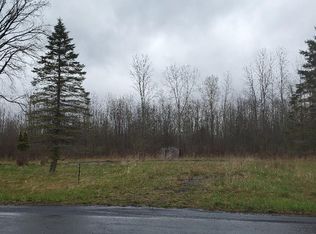 12192 Duck Lake Rd, Red Creek, NY 13143