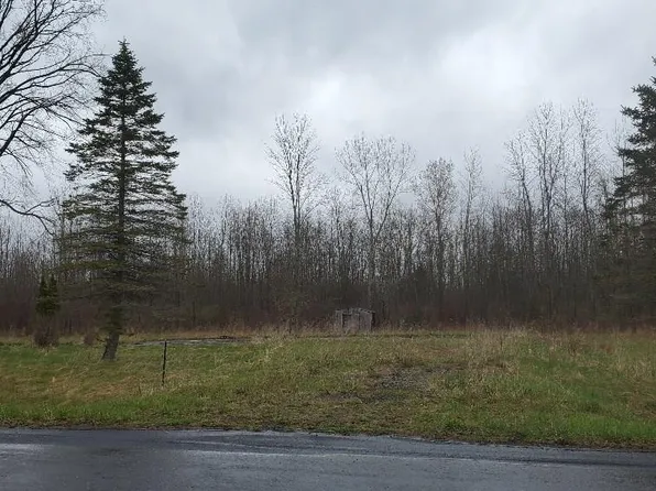 12192 Duck Lake Rd, Red Creek, NY 13143