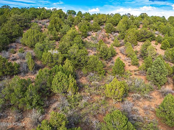 4th image of 8 W Moose Ridge Dr #8