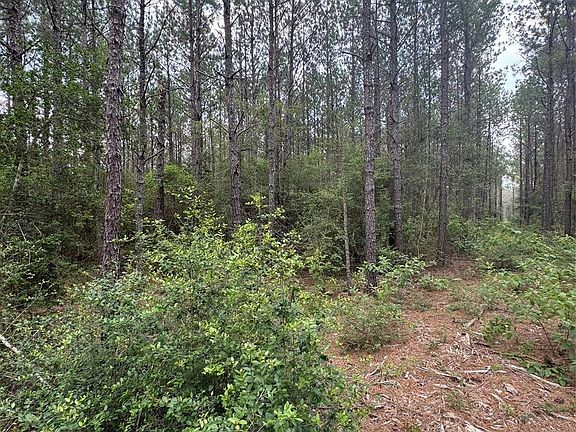3rd image of 10634 Forest Mill Rd