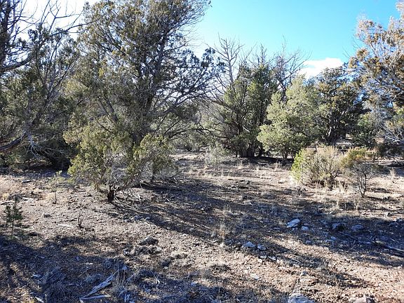 5th image of 32184 W Camino Oso