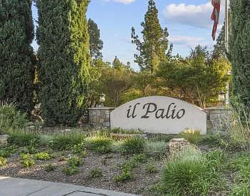 12071 Alta Carmel Ct #101