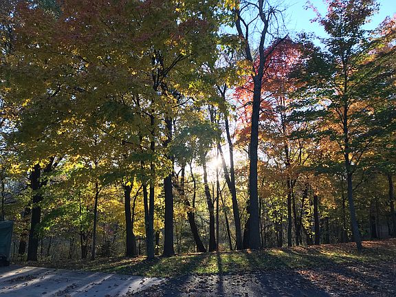 Front yard in autumn
