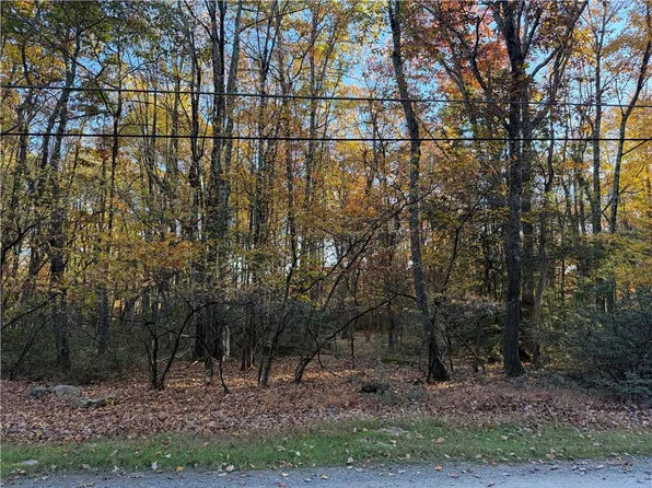 LOT E36 Quail Dr, Jim Thorpe, PA 18229