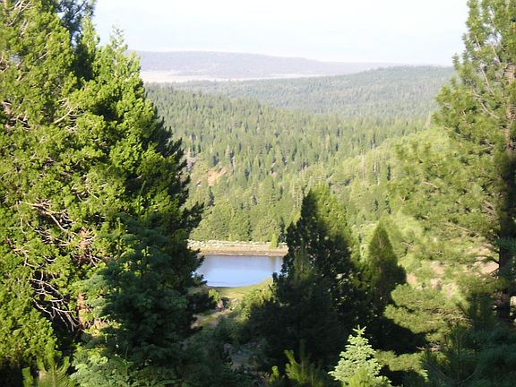 Fishing Pond nearby!