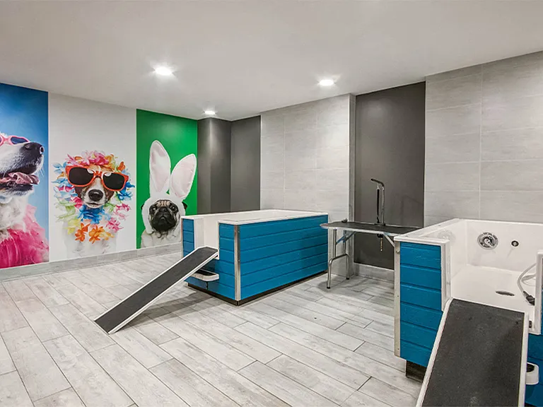 Treat your furry friends to a 'spaw' day at the on-site pet spa
