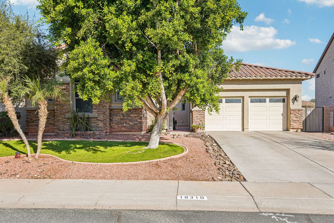 W Onyx Ct-S1211-001.jpg