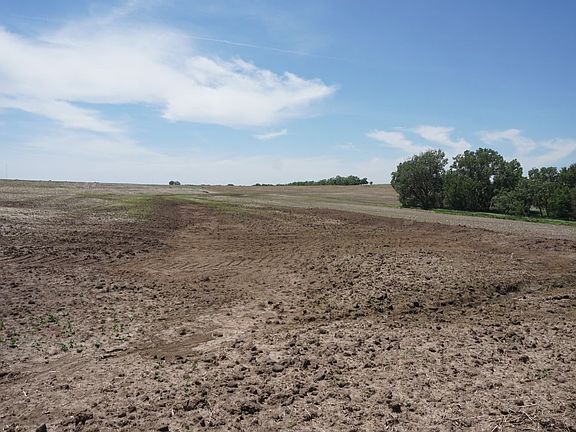 North center looking southwest