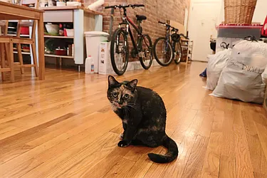 Rented by PMG Real Estate 