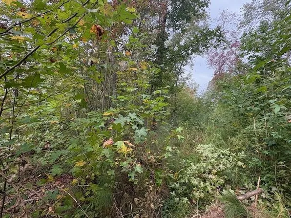 1 Thompson Ln, Jasper, GA 30143