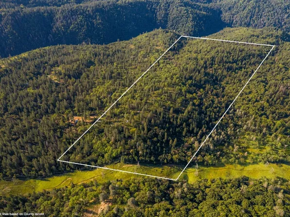 15793 Black Prince Rd, Pioneer, CA 95666