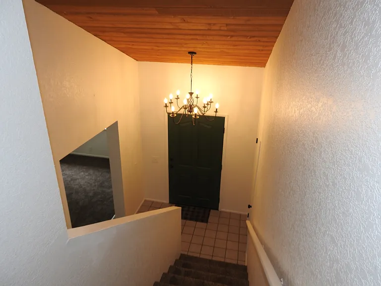 5041 Pine Ridge Ave — Photo 50