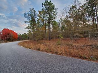 1153 Hidden Oak Dr LOT 40, Manning, SC 29102