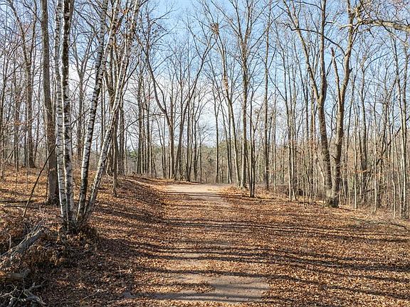 3rd image of Lot 1 on 290th Avenue