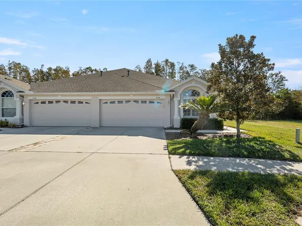 2734 Tanglewylde Dr, Land O Lakes, FL 34638