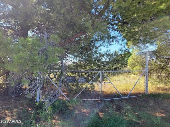 207 N Cleveland Avenue #10216043, Bisbee, AZ 85603