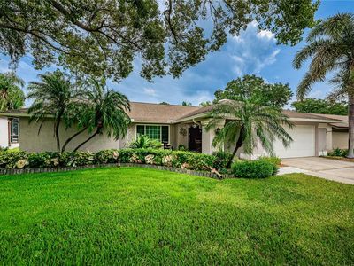 3118 Blue Heron St, Safety Harbor, FL, 34695